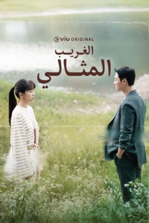 مسلسل الغريب المثالي My Perfect Stranger الحلقة 9 مدبلجة