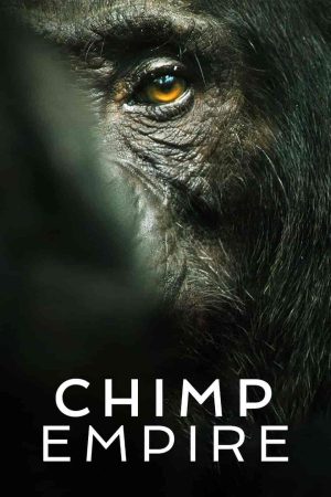 مسلسل Chimp Empire الموسم الاول الحلقة 4 والاخيرة