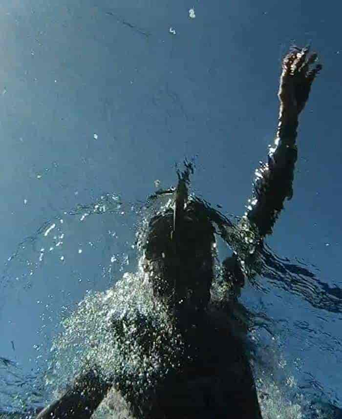 فيلم The Swim 2021 مترجم
