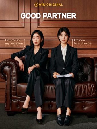 مسلسل شريك جيد Good Partner الحلقة 2 مترجمة