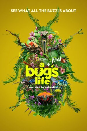 مسلسل A Real Bug’s Life الموسم 1 الحلقة 3