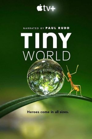 مسلسل Tiny World الموسم 1 الحلقة 1