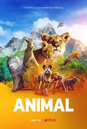 مسلسل Animal الموسم 1 الحلقة 1