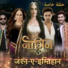 مسلسل حب و انتقام أفعى الموسم 3 الحلقة خاصة