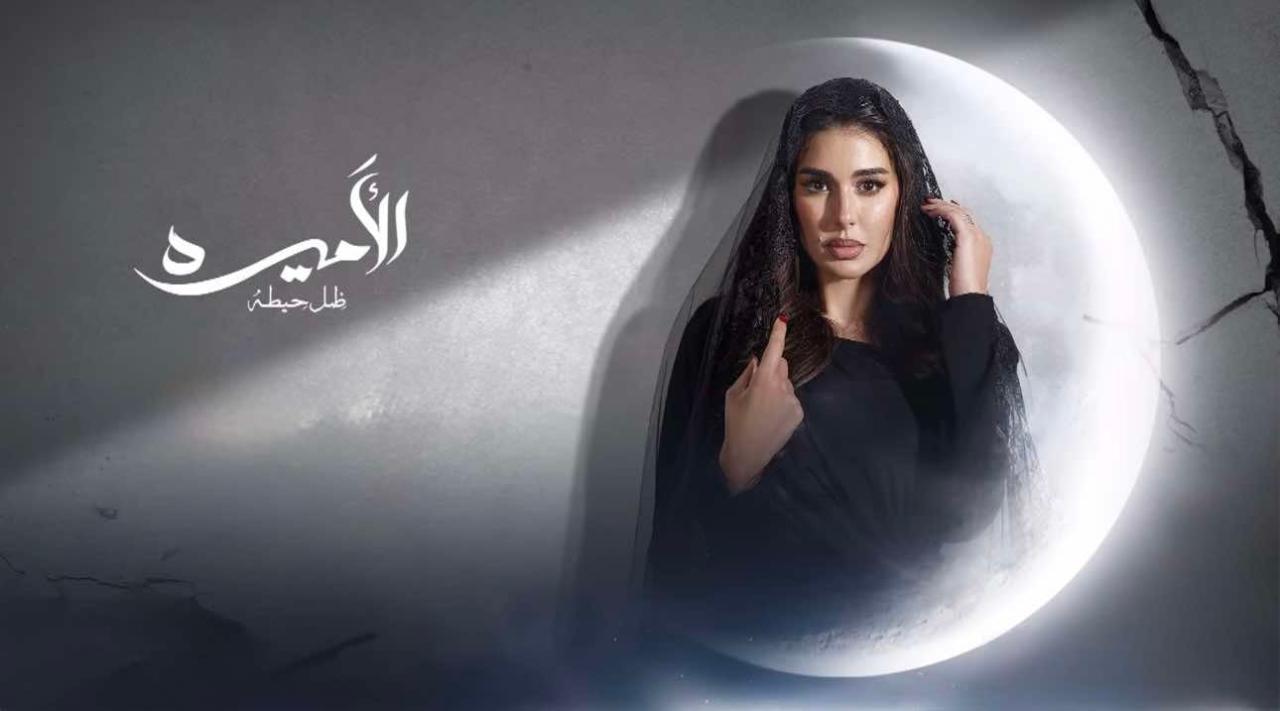 مسلسل الاميرة الحلقة 13 الثالثة عشر
